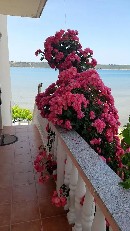 Apartment Apartmani Mirko Ljubac Razanac Croatia