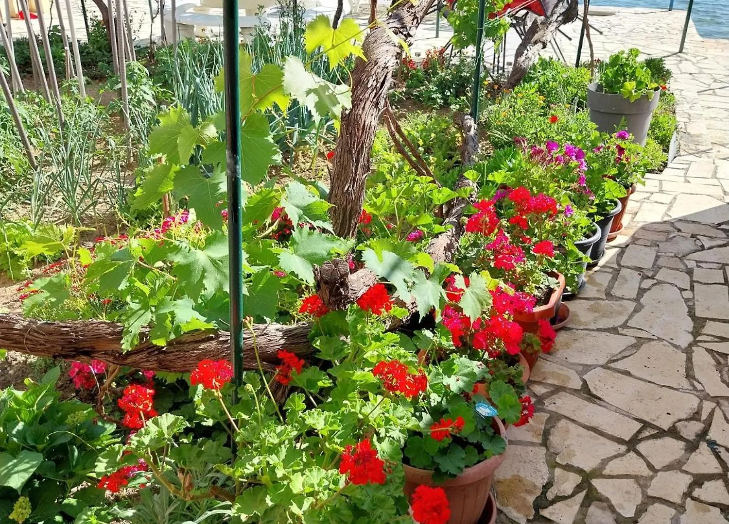 Apartmani Mirko Ljubac Ražanac Apartament